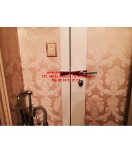 carénée fichet vertibar