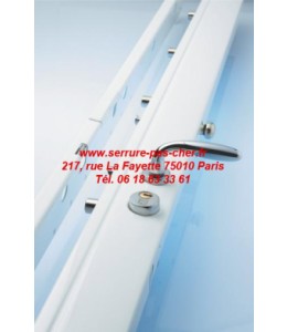 carénée vachette exclusive