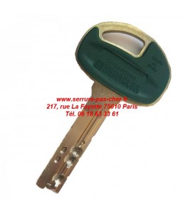 cle mottura champion