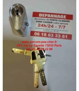 cylindre adaptable serrure bricard ovoide