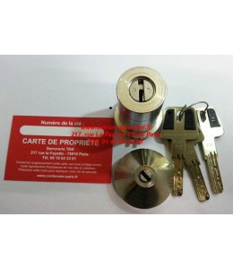 cylindre adaptable serrure iseo perfecta