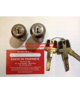 cylindre adaptable serrure multlock type izis