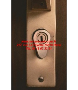 cylindre bricard ovoide