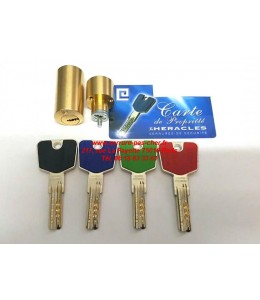 cylindre heracles y8 pour serrure vega