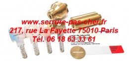 cylindre kaba compatible serrure pollux