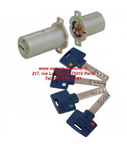 cylindre multlock type fichet?