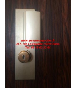 serrure Fichet Palieris