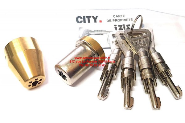 cylindre izis epaule