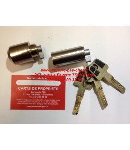 cylindre adaptable ancienne serrure pollux
