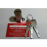 cylindre adaptable verrou de blocage fichet