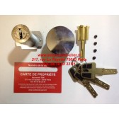 cylindre compatible picard presence vigistar