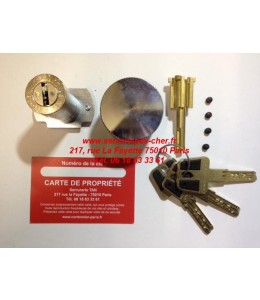 cylindre compatible picard presence vigistar