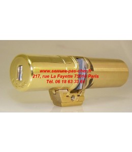 cylindre Fichet Palieris