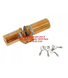 cylindre Fichet Palieris