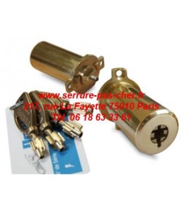 cylindre pollux adaptable fichet