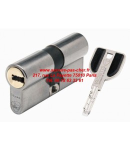 cylindre vachette radialis