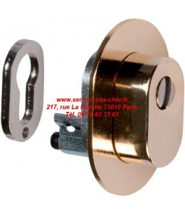 protecteur vachette a2p 2 étoiles