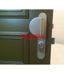 protege cylindre bricard dual xp s