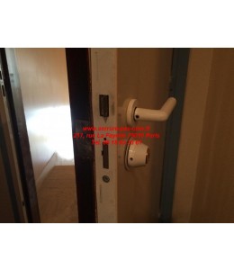 serrure Fichet Palieris