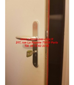 serrure vachette radial nt a2p 1 étoile