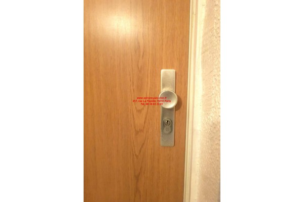 poignée fichet G351