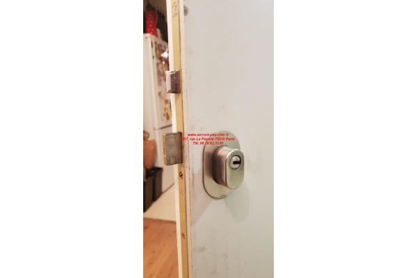 protege cylindre vachette a2p2