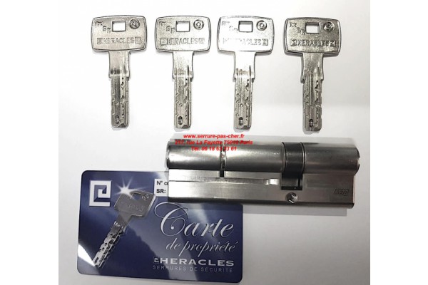 cylindre heracles dom pour serrure heracles sesame