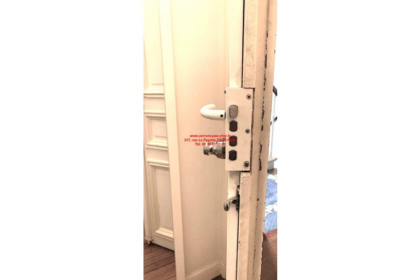 penes mottura 448 droite