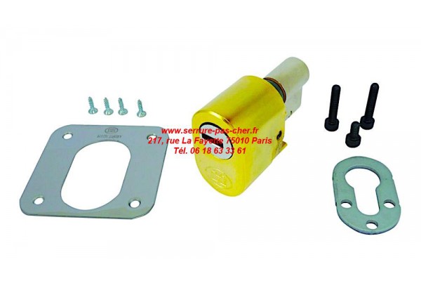 cylindre bricard dual xp s dore