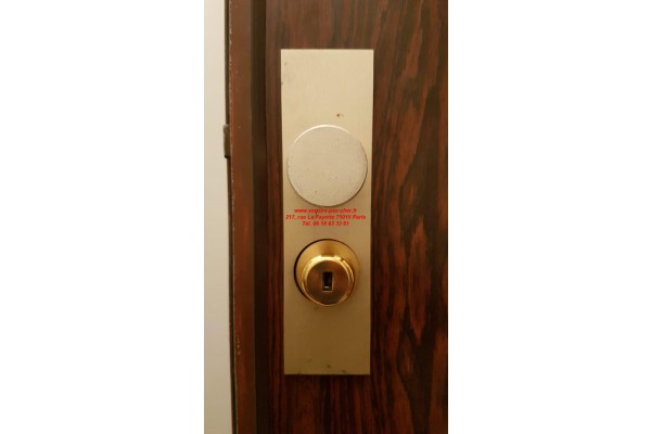 protege cylindre fichet forges p105